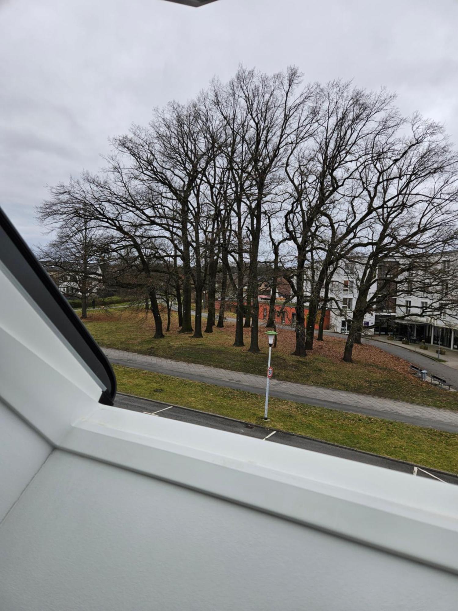 3 Zimmerwohnung Am Neuer Teich วอล์ฟสบวร์ก ภายนอก รูปภาพ
